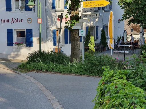 Gasthof zum Adler in Molpertshaus  photo 4